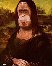 pic for MONA MONKEY